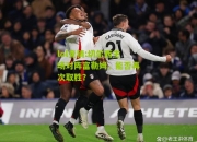 lol竞猜:切尔西主场对阵富勒姆，能否再次取胜？