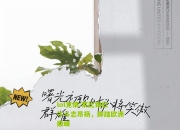 lol竞猜:莱比锡红牛斗志昂扬，脚踏欧洲巅峰