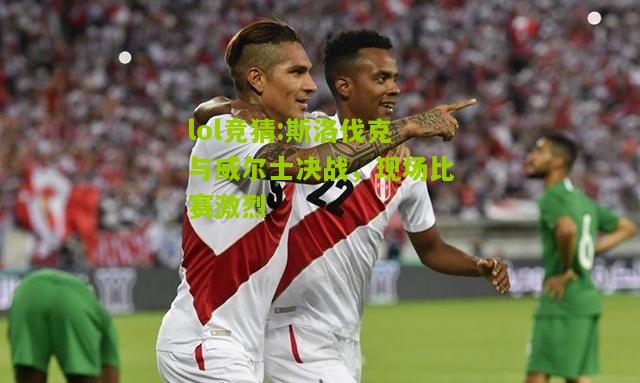 lol竞猜:斯洛伐克与威尔士决战，现场比赛激烈