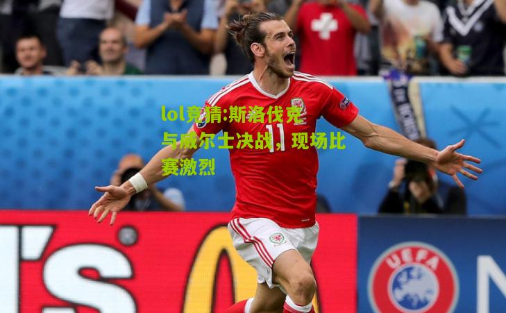 lol竞猜:斯洛伐克与威尔士决战，现场比赛激烈