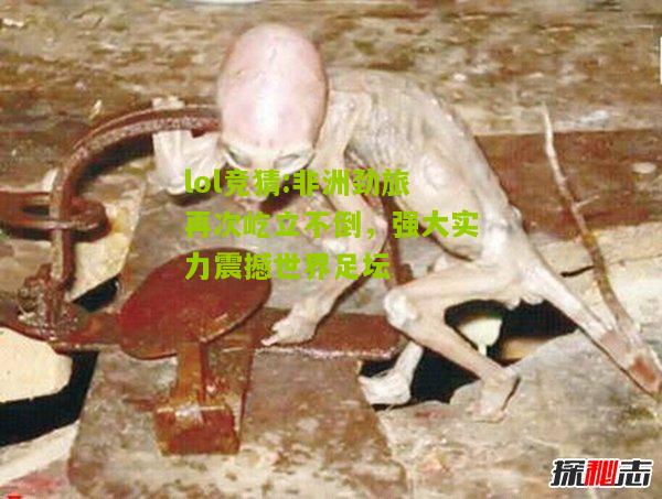 lol竞猜:非洲劲旅再次屹立不倒，强大实力震撼世界足坛
