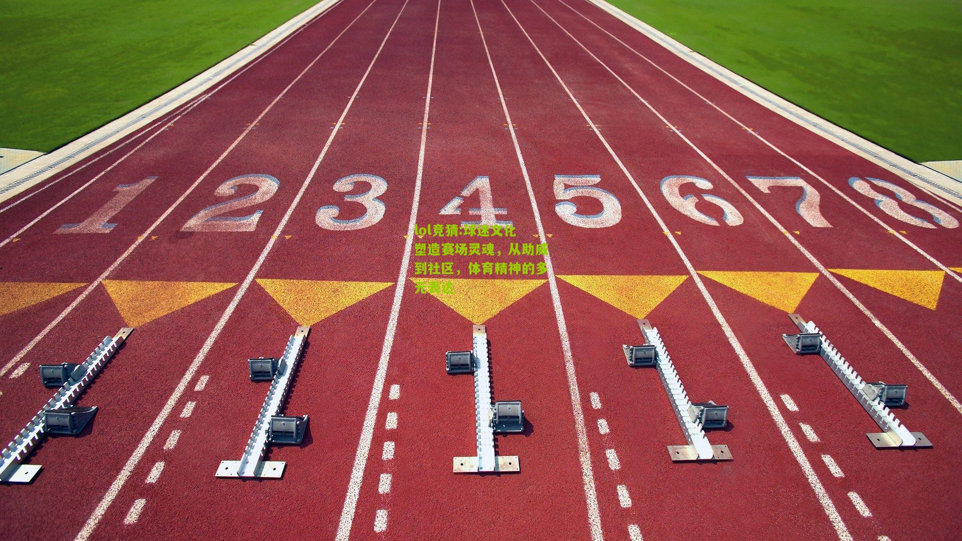 lol竞猜:球迷文化塑造赛场灵魂，从助威到社区，体育精神的多元表达